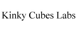 kinky cubes labs