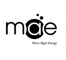 mae micro algae energy