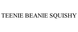 teenie beanie squishy