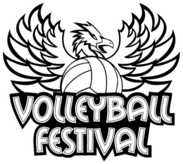 volleyball festival