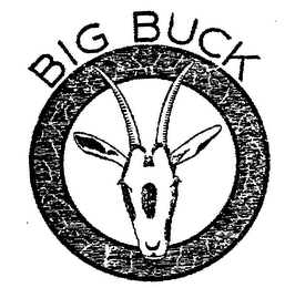 big buck