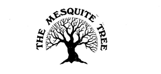 the mesquite tree