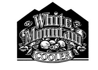 white mountain cooler