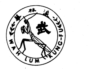 wah lum kung-fu