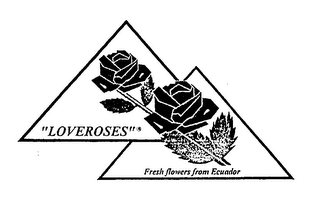 "loveroses" fresh flowers from ecuador