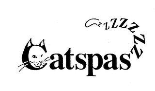 catspaszzzzzzz