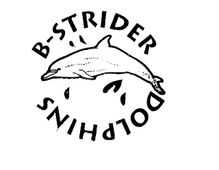b-strider dolphins