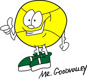 mr. goodvolley