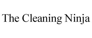 the cleaning ninja