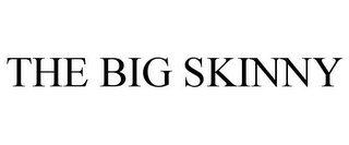 the big skinny