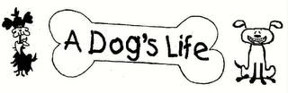 a dog's life