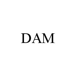 dam