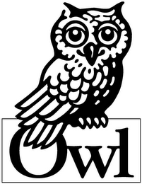 owl