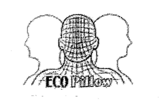 eco pillow