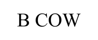 b cow