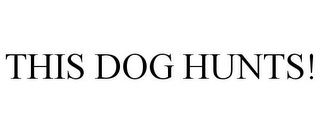 this dog hunts!