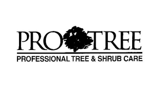 pro tree professional tree & shrub care