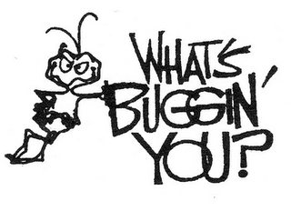what's buggin' you?