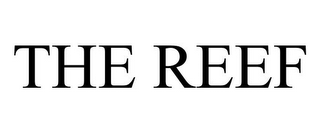 the reef