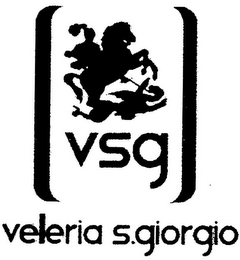 vsg veleria s.giorgio