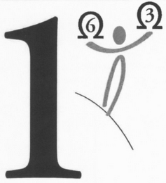 1 6 3
