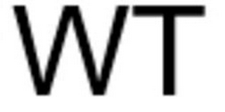 wt
