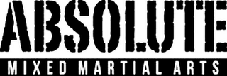 absolute mixed martial arts