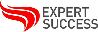 expert success