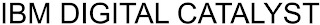 ibm digital catalyst