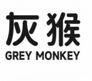 grey monkey