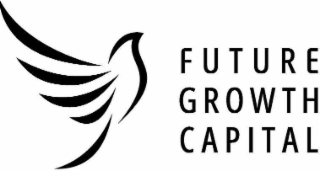 future growth capital