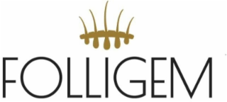 folligem