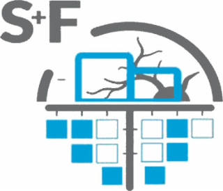 s+f