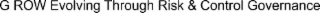 g row evolving through risk & control governance
