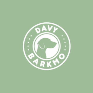 davy barkmo