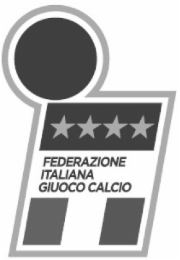 federazione italiana giuoco calcio