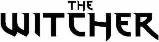 the witcher