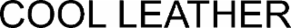 cool leather