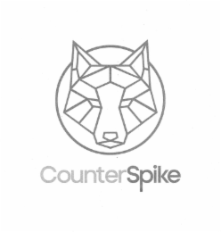counterspike