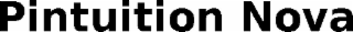 pintuition nova