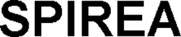 spirea