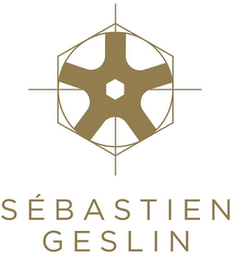 sÉbastien geslin