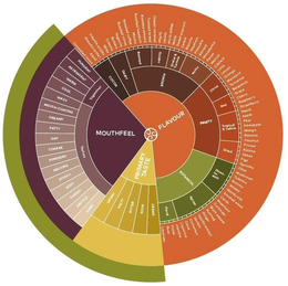 mouthfeel flavour primary taste