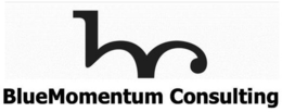 bluemomentum consulting