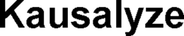 kausalyze