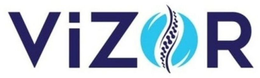 vİzor