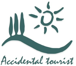 accidental tourist