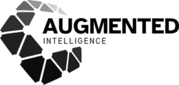 augmented intelligence