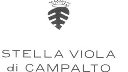 stella viola di campalto