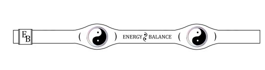 eb energy balance